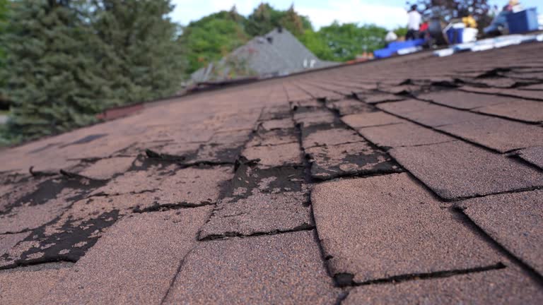 Best Asphalt Shingles Roofing  in Bodega Bay, CA