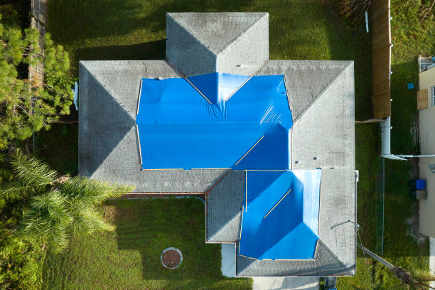 Best Roof Coating and Sealing  in Bodega Bay, CA