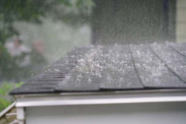 Best Gutter Installation and Repair  in Bodega Bay, CA