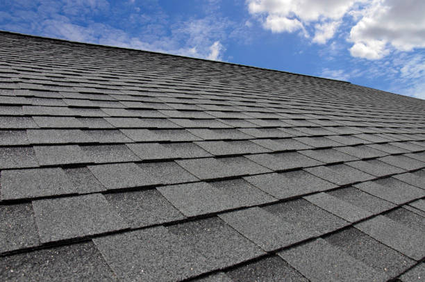 Cold Roofs in Bodega Bay, CA